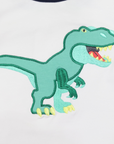 T-REX Applique Tee Grey