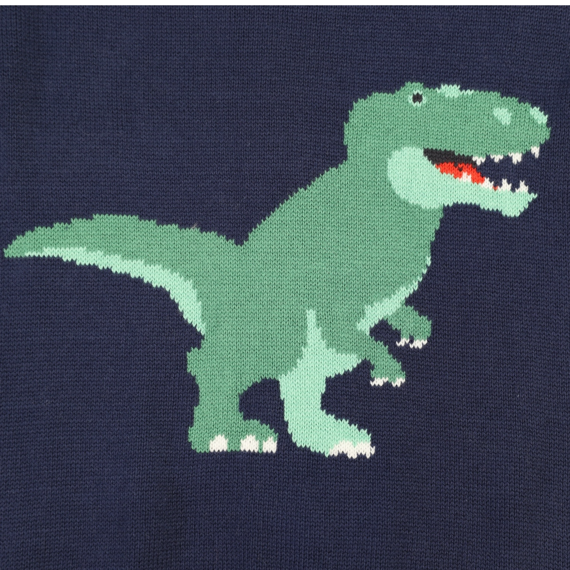 T-REX Sweater Navy