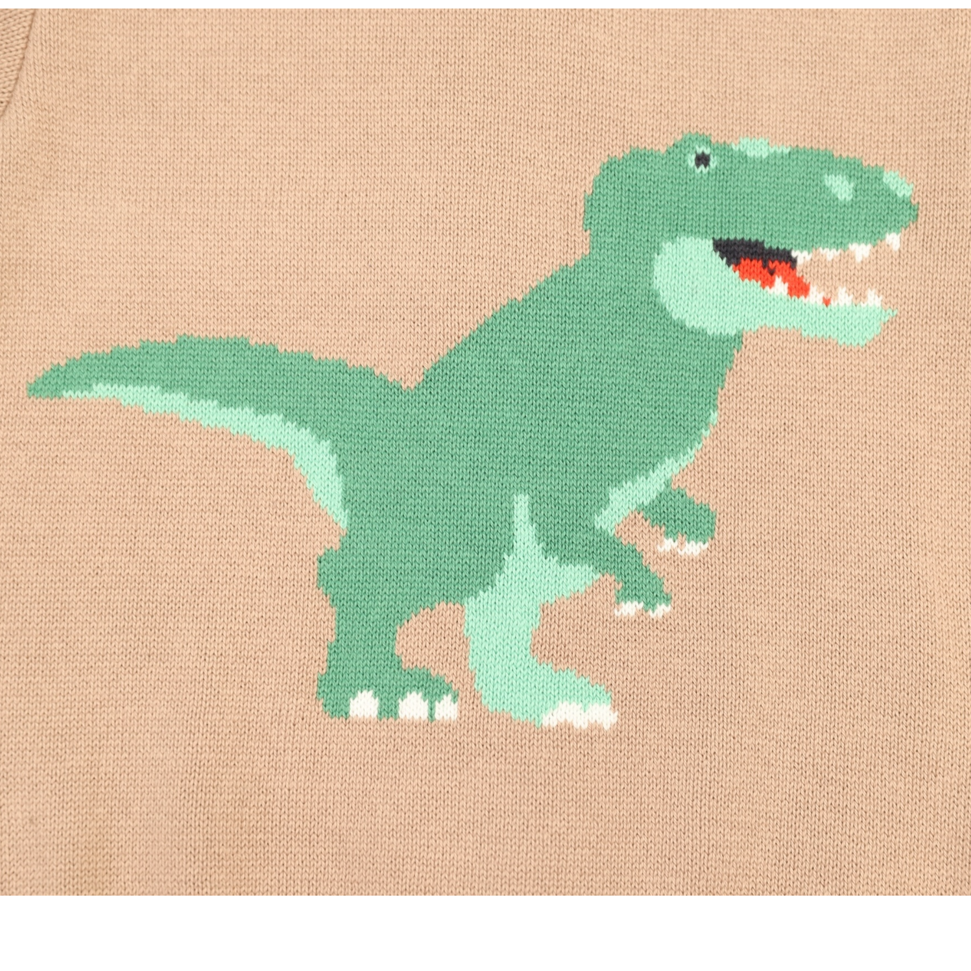 T-REX Sweater Chestnut