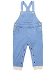Denim Overall Light