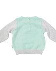 Knit Sweater with Kangaroo Applique Mint