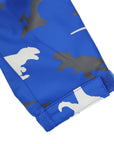 Dinosaur Colour Change Raincoat