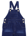 Denim Overall Dark