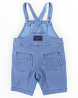 Overall Light