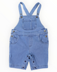 Overall Light
