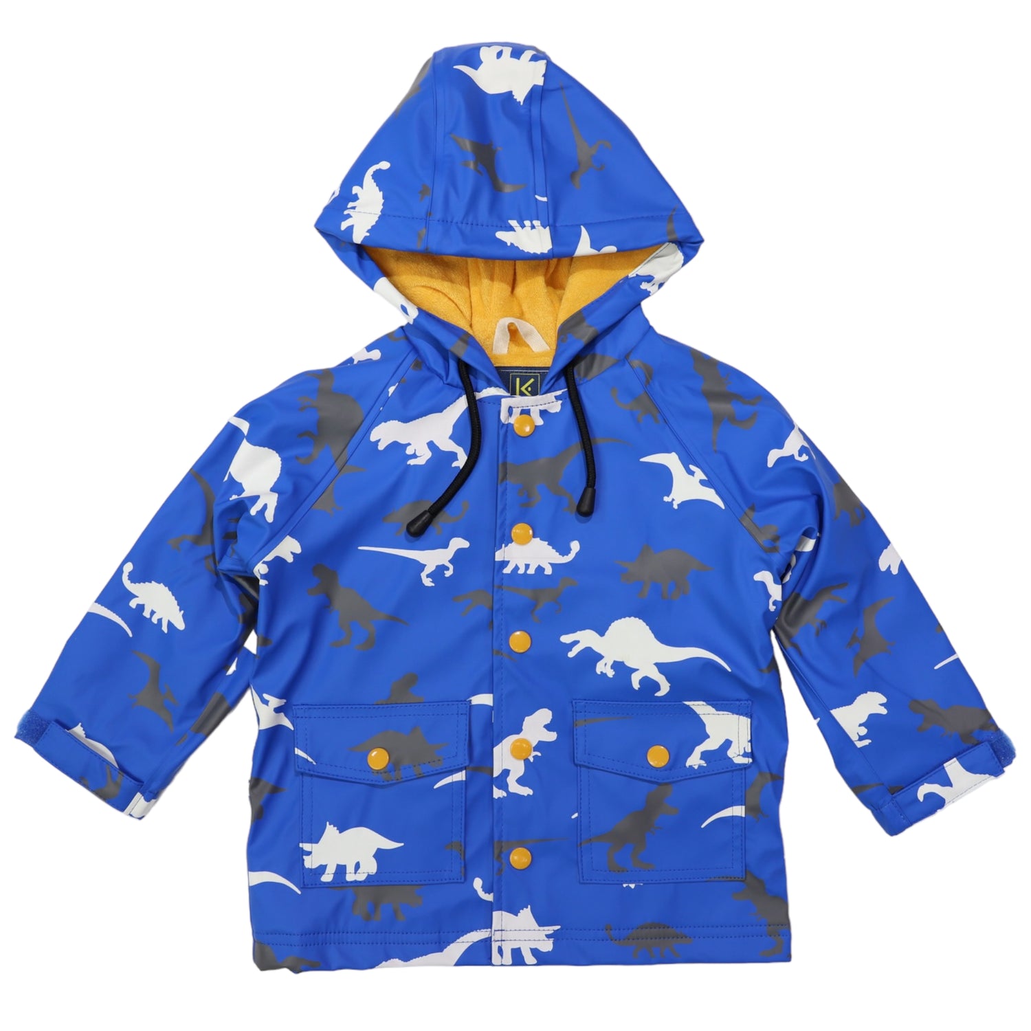 Dinosaur Colour Change Raincoat