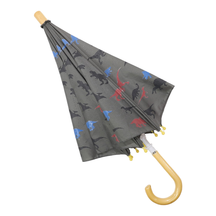 Dinosaur Colour Change Umbrella Charcoal